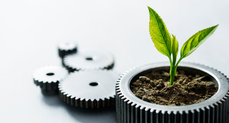 Breaking Down Socially Responsible Investing