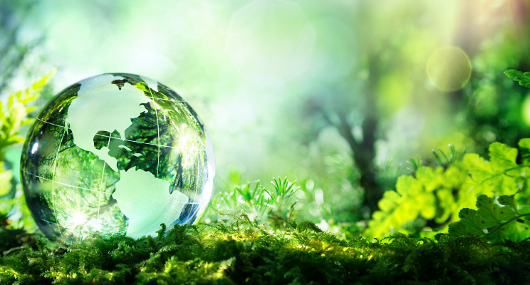 Leave a Lasting Legacy: Consider Your Impact on the World